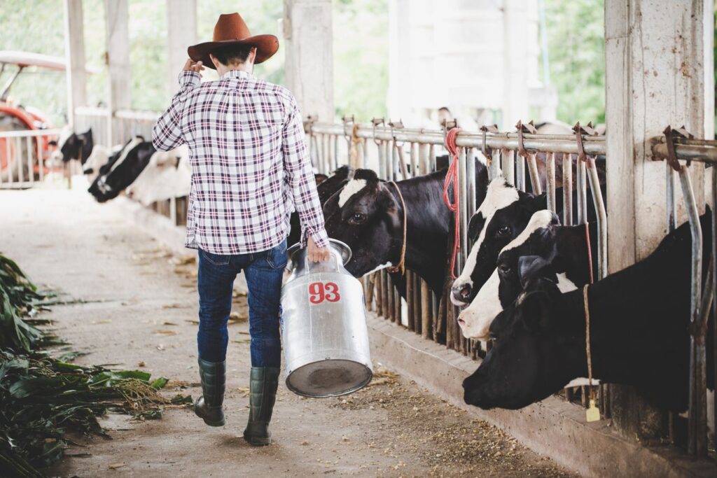 Gelar Dan Prospek Pekerjaan Lulusan Peternakan